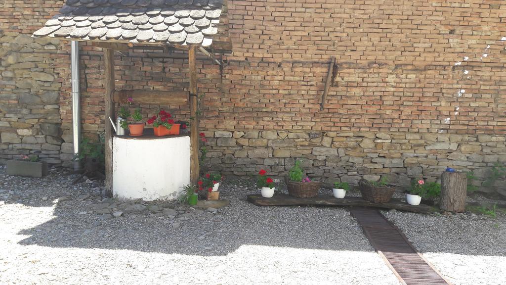 Pension Cartref Saschiz Buitenkant foto