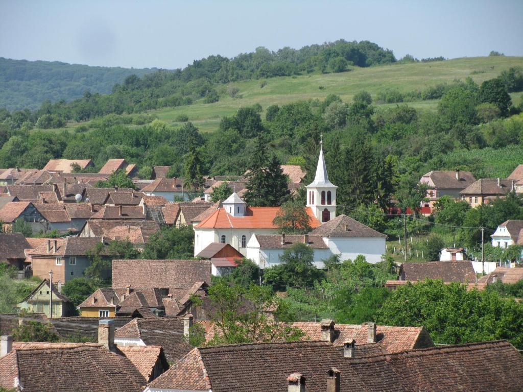 Pension Cartref Saschiz Buitenkant foto